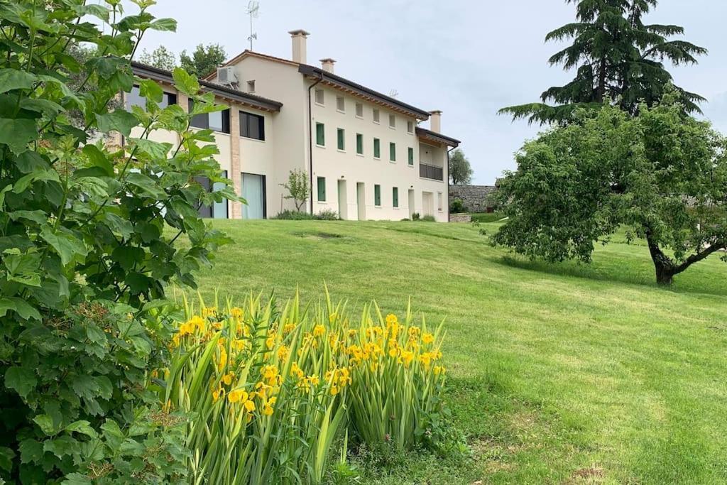 Casa Cedro - Il Brolo Villa Cavaso Del Tomba Kültér fotó